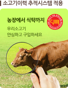 소고기 이력 추적